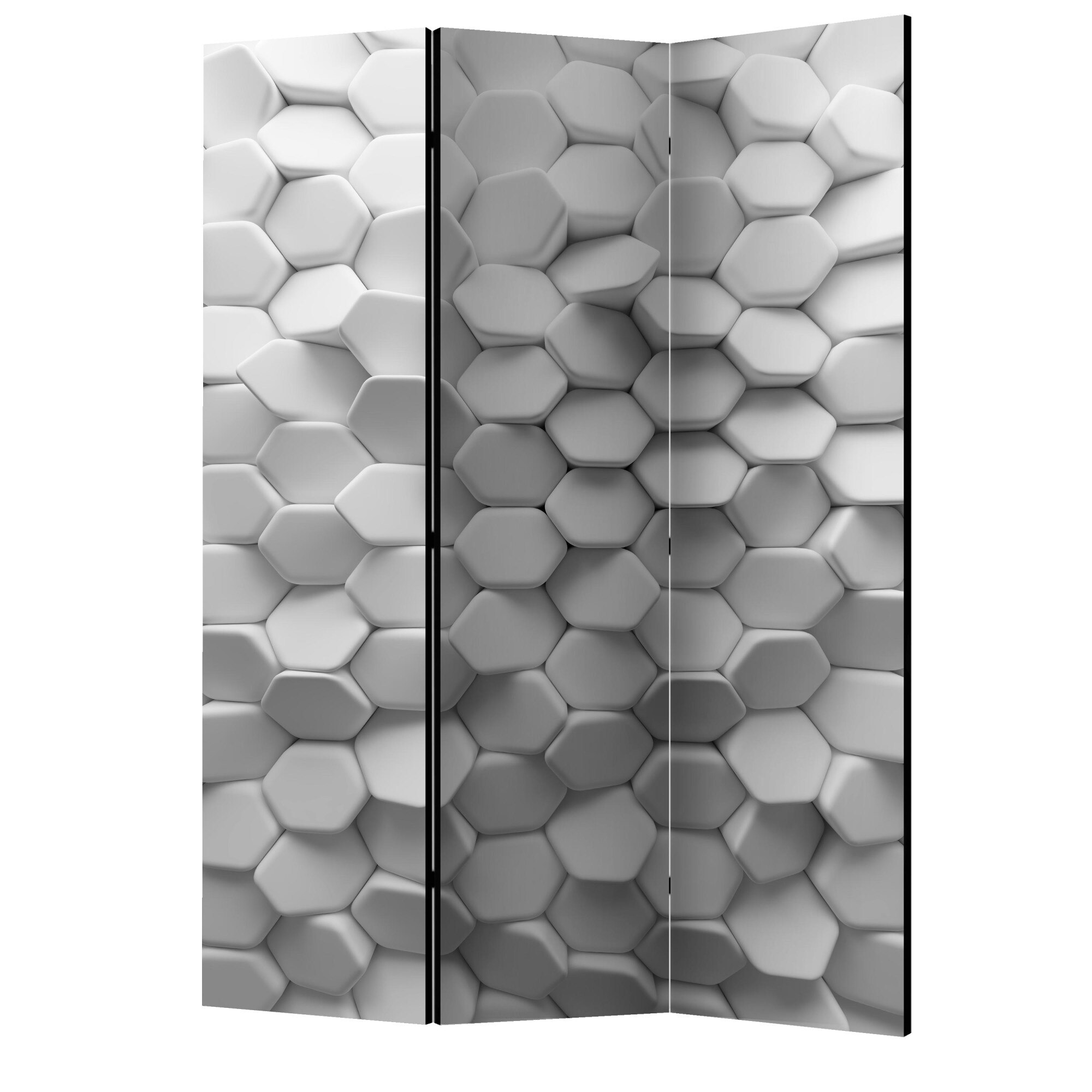 Paravan din 3 parti - Misterul alb - 135 x 172 cm