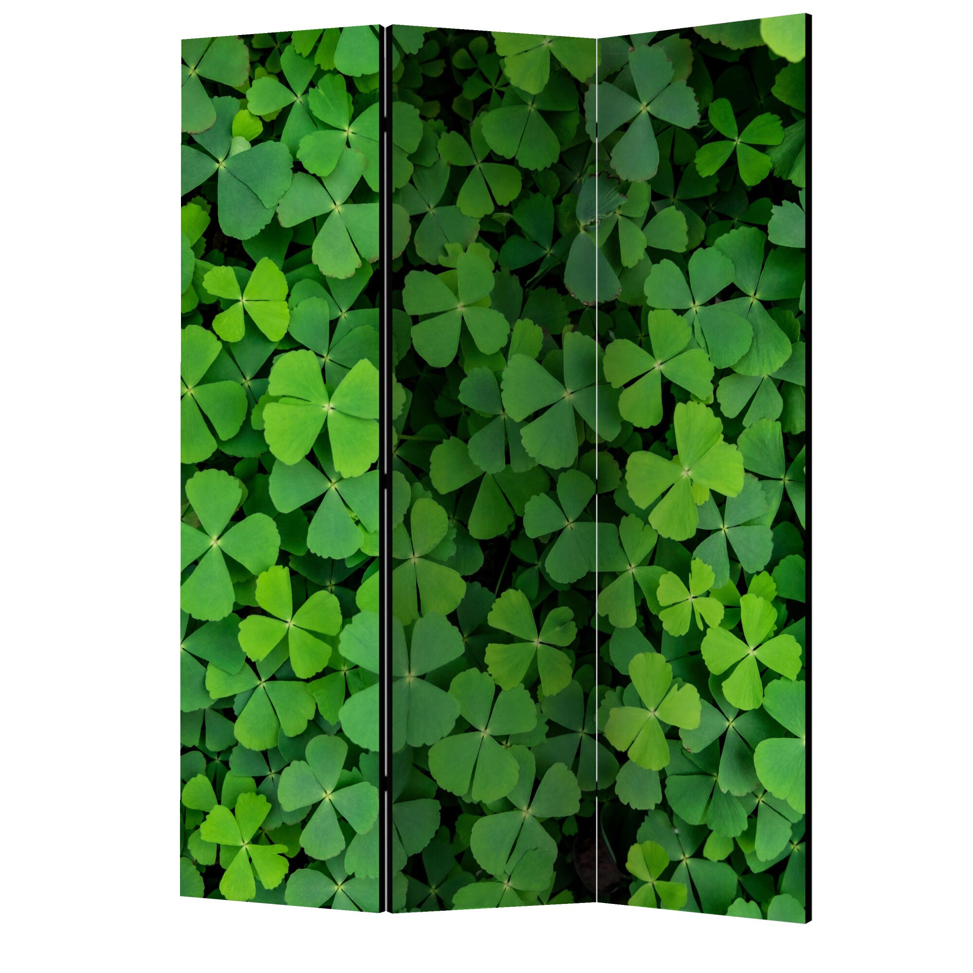 Paravan din 3 parti - Trifoi verde - 135 x 172 cm