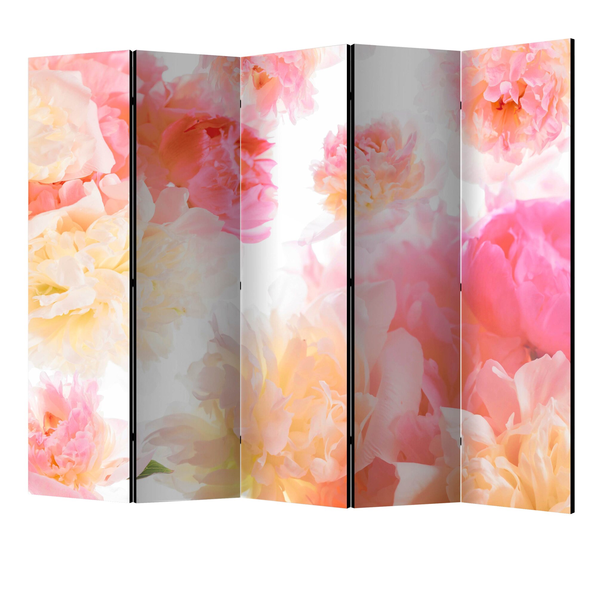 Paravan din 5 parti - Bujori pastel II - 225 x 172 cm