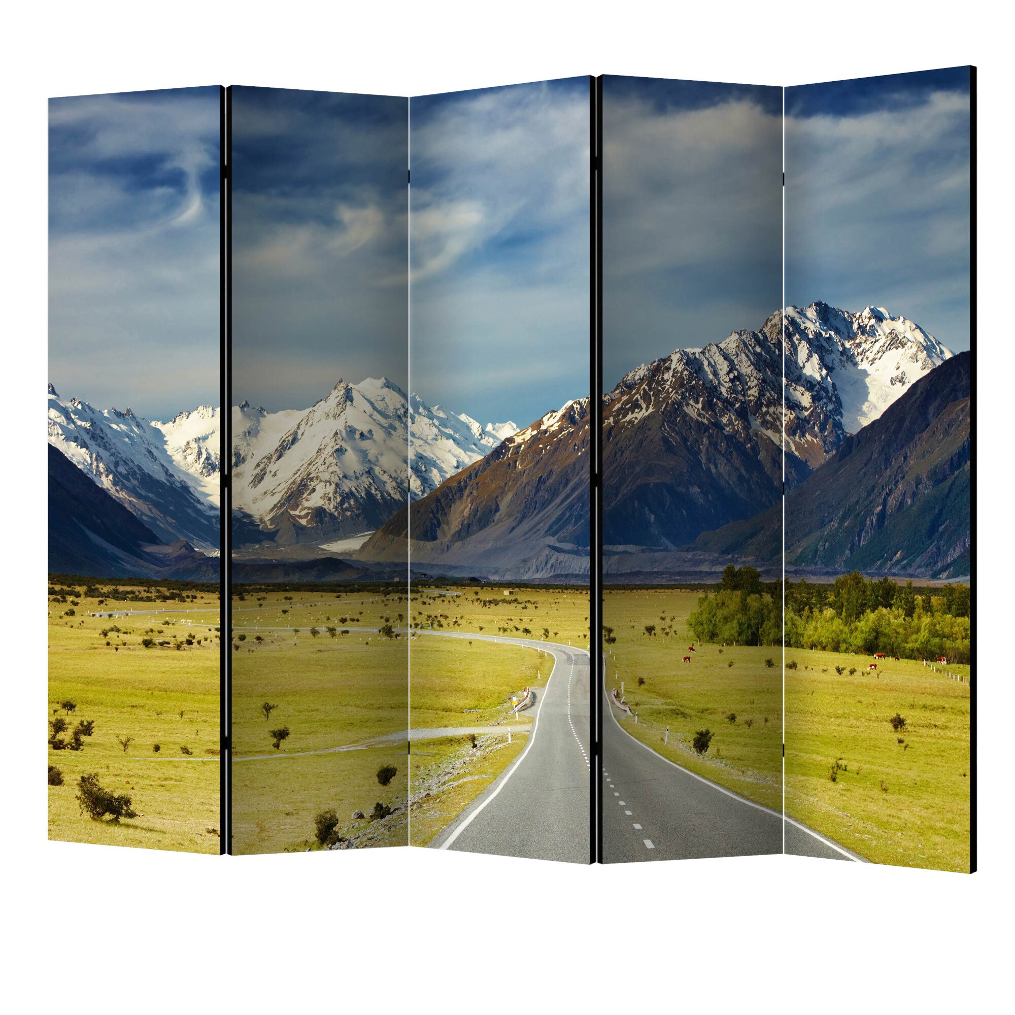 Paravan din 5 parti - Alpi de sud noua zeelanda II - 225 x 172 cm