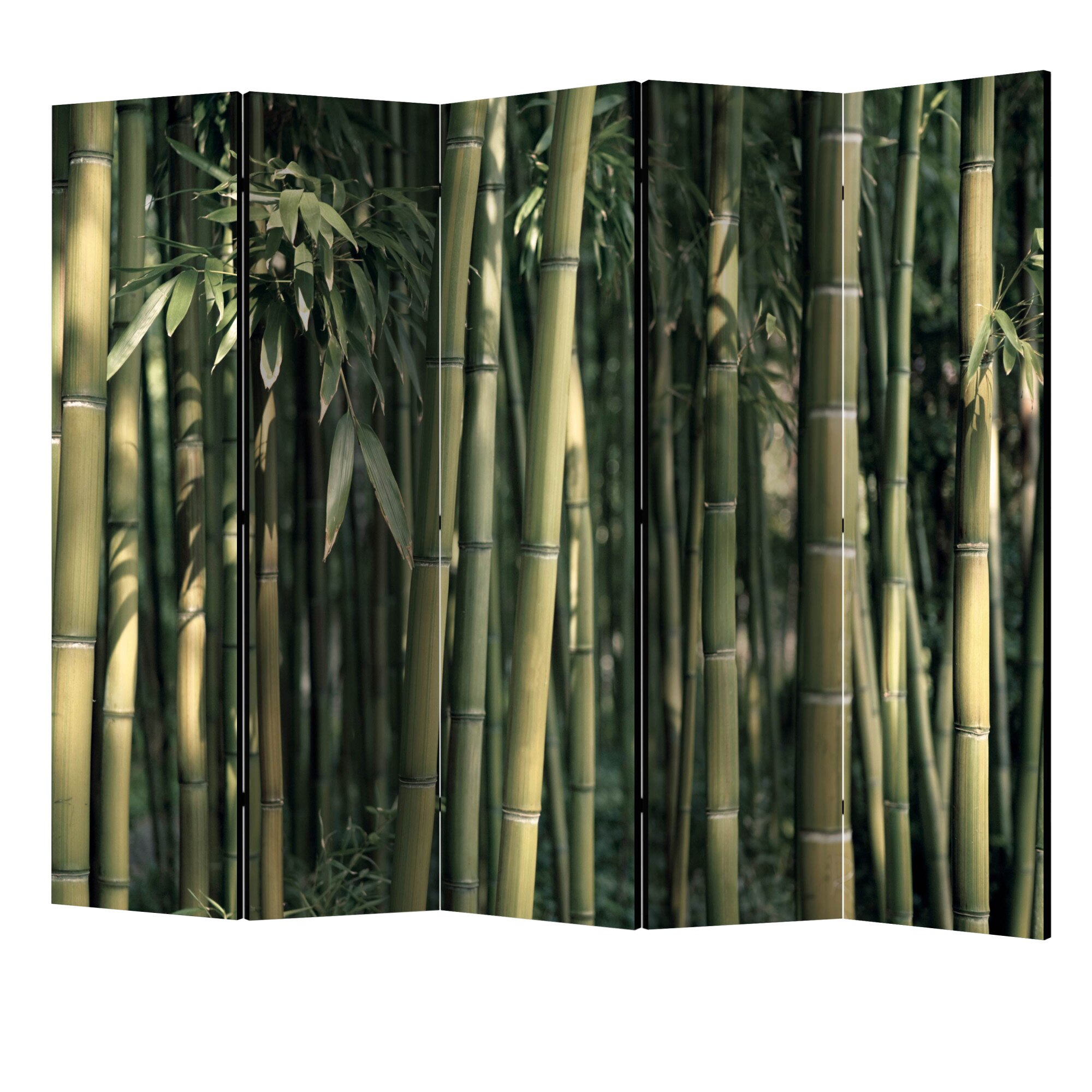 Paravan din 5 parti - Bamboo exotic II - 225 x 172 cm