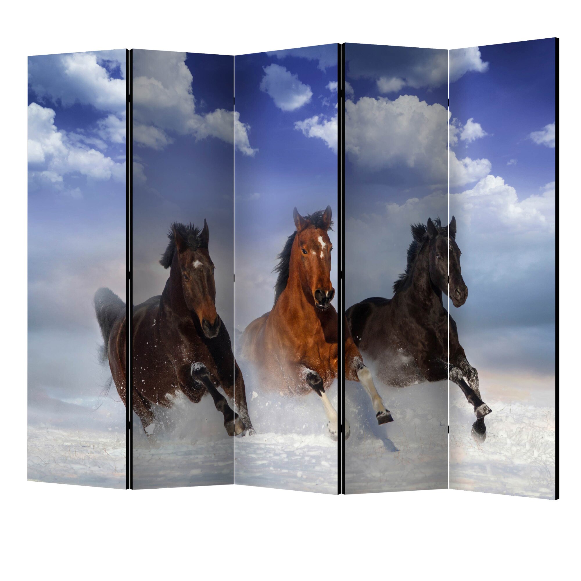 Paravan din 5 parti - Caii in zapada II - 225 x 172 cm