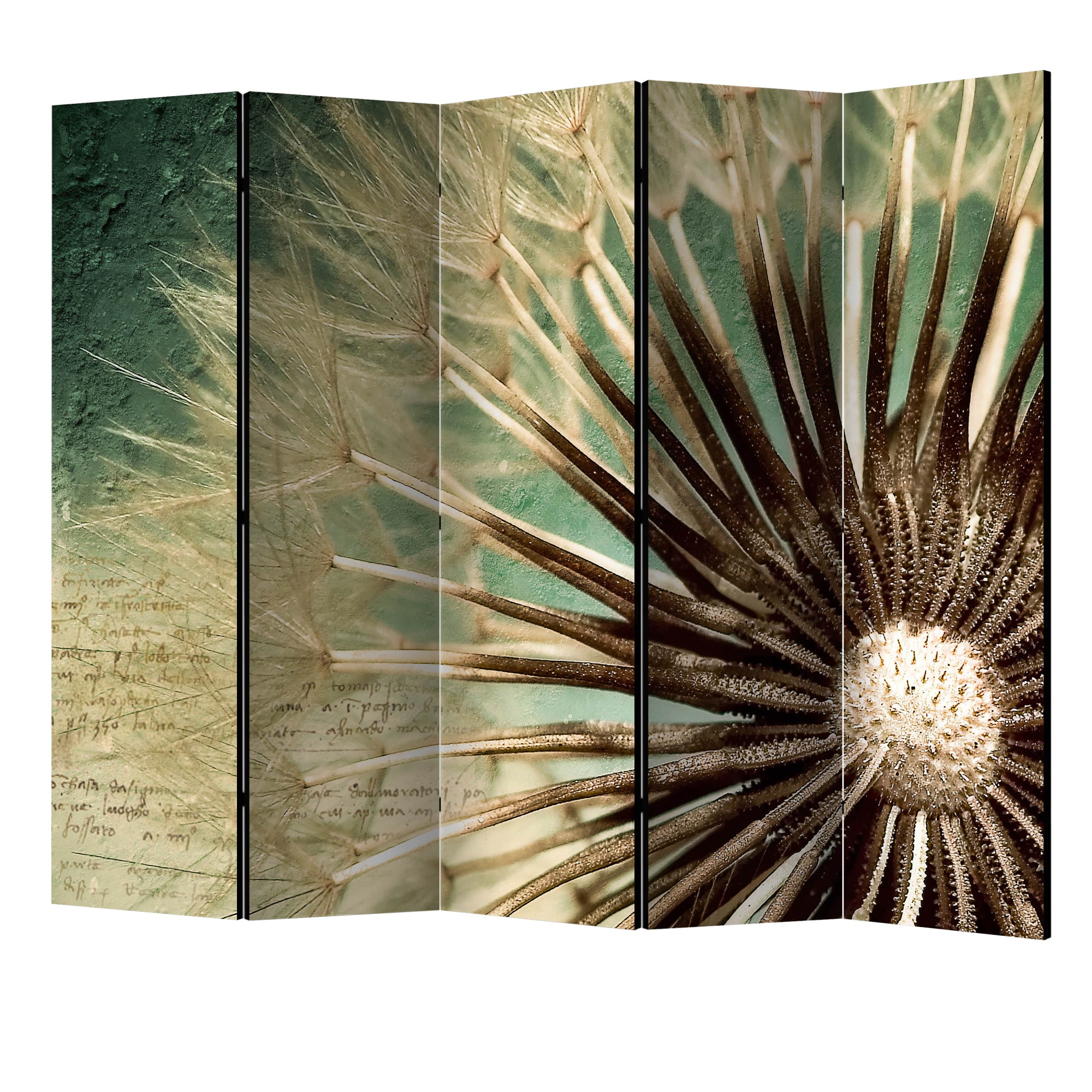 Paravan din 5 parti - Concentrati-va pe papadie II - 225 x 172 cm