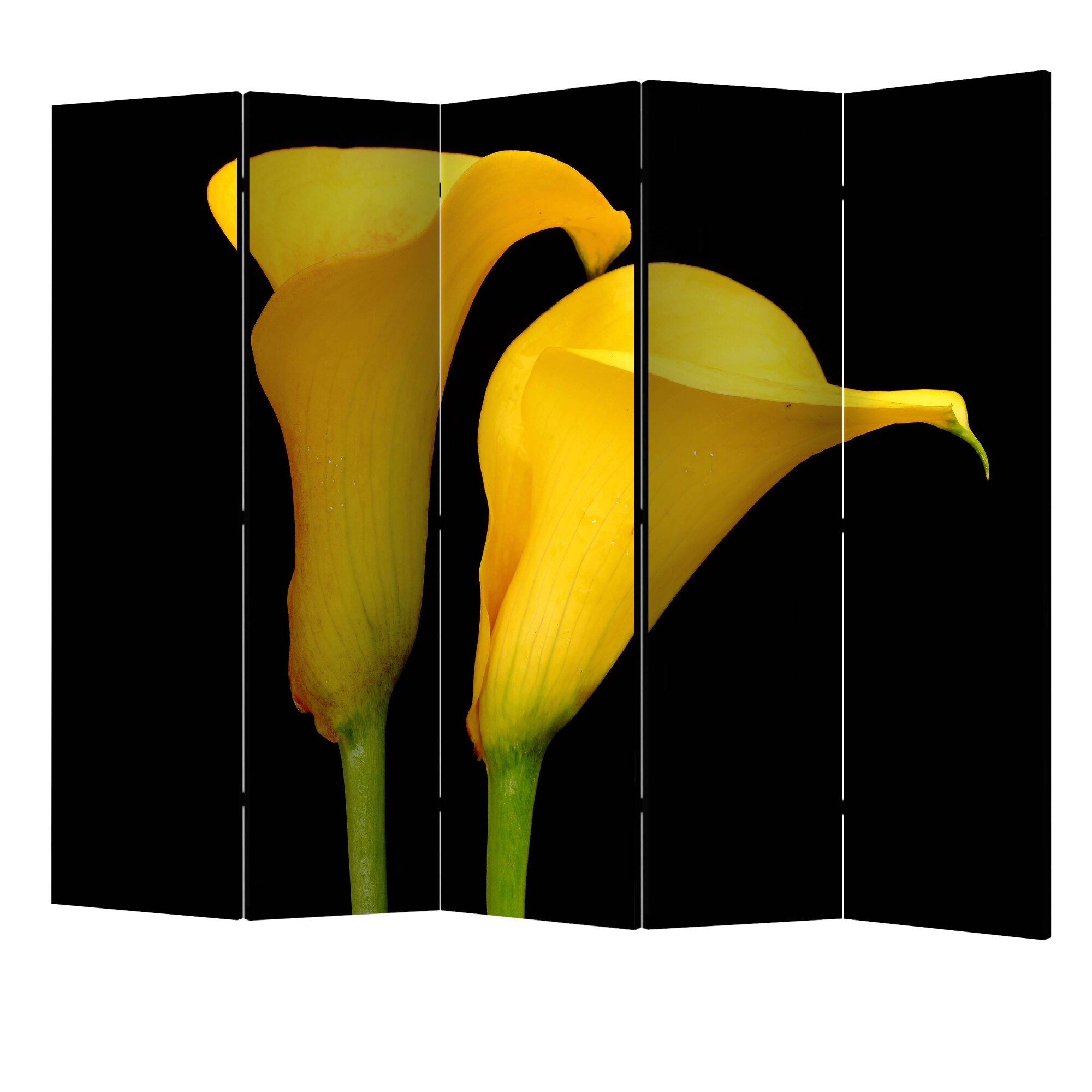 Paravan din 5 parti - Doua flori galbene de calla pe fond negru II - 225 x 172 cm