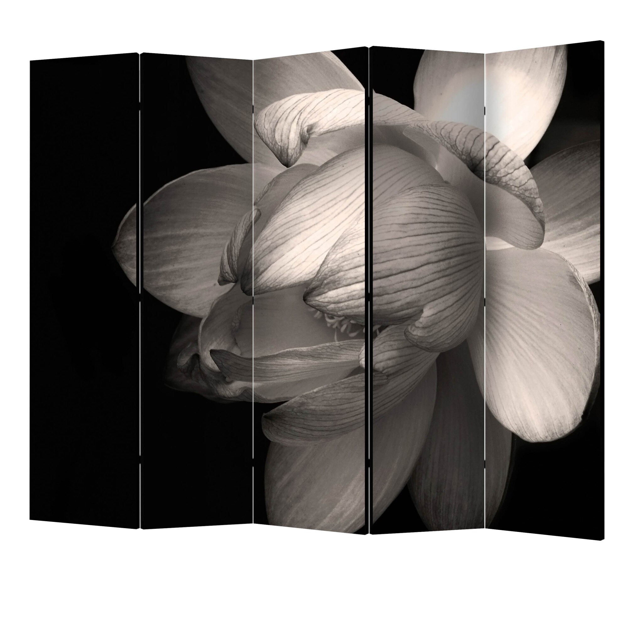 Paravan din 5 parti - Floarea de lotus II - 225 x 172 cm