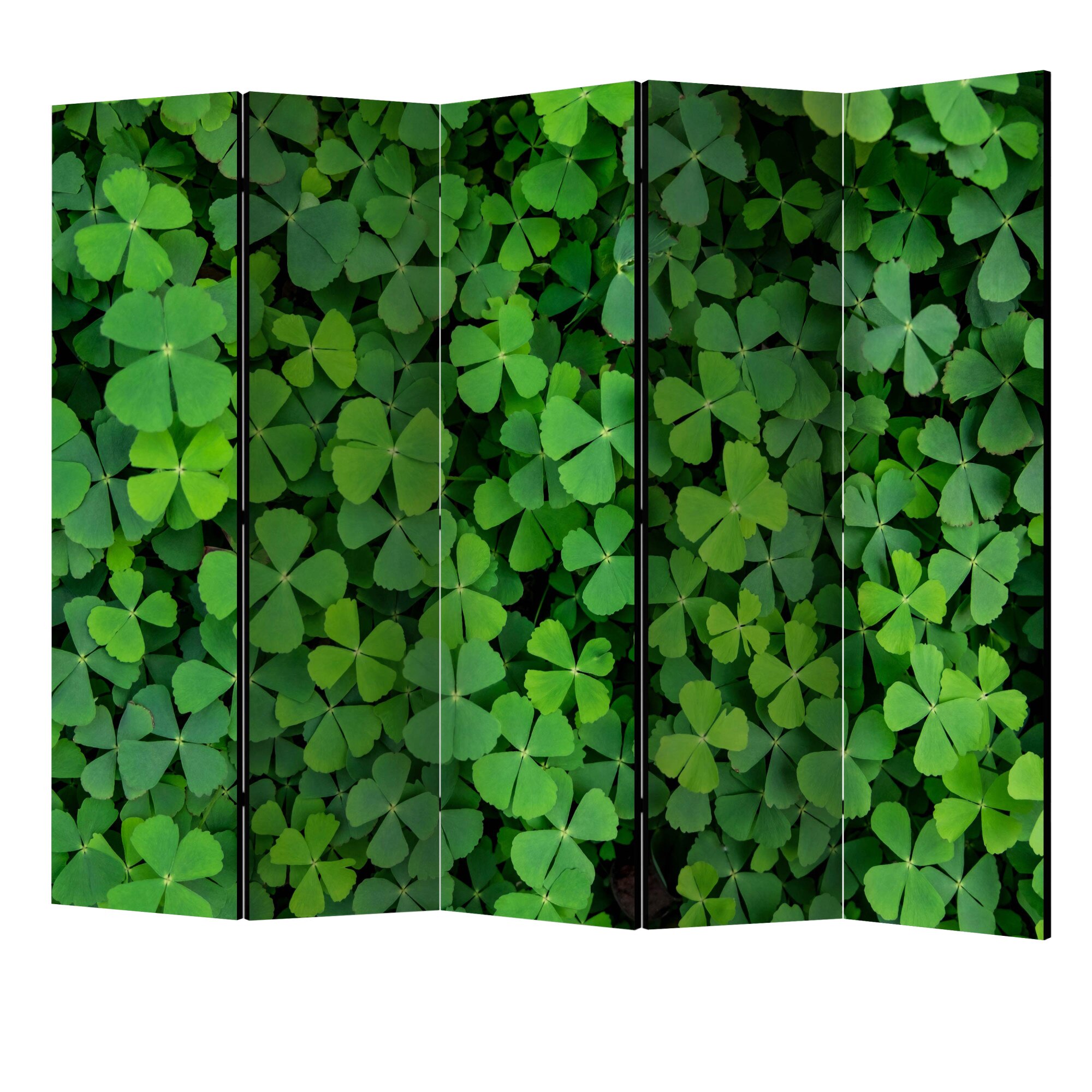 Paravan din 5 parti - Trifoi verde II - 225 x 172 cm