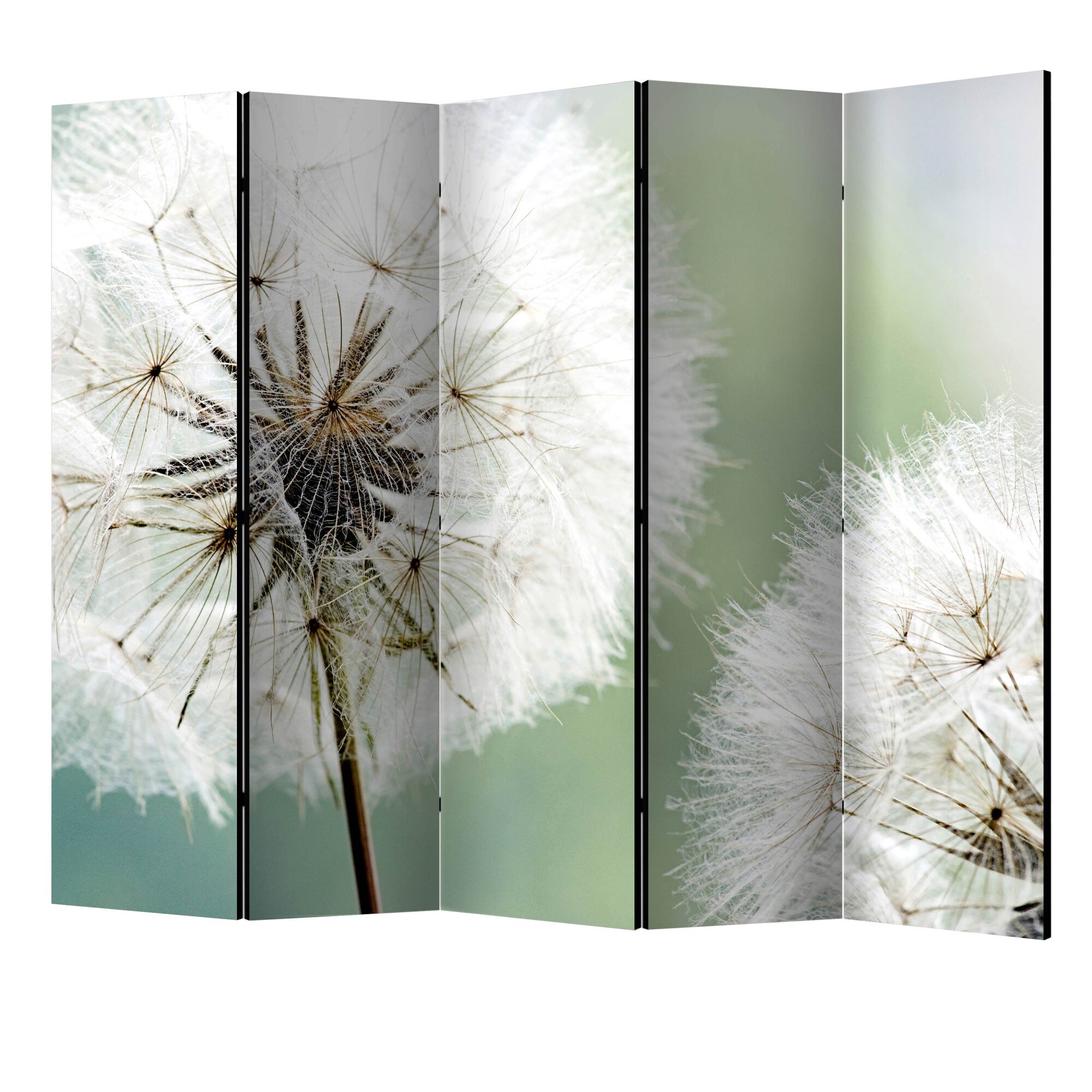 Paravan din 5 parti - Doua papadie II - 225 x 172 cm