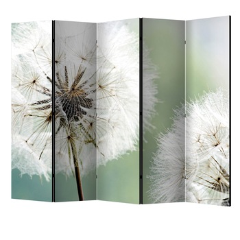 Paravan din 5 parti - Doua papadie II - 225 x 172 cm Paravan din 5 parti - Doua papadie II - 225 x 172 cm