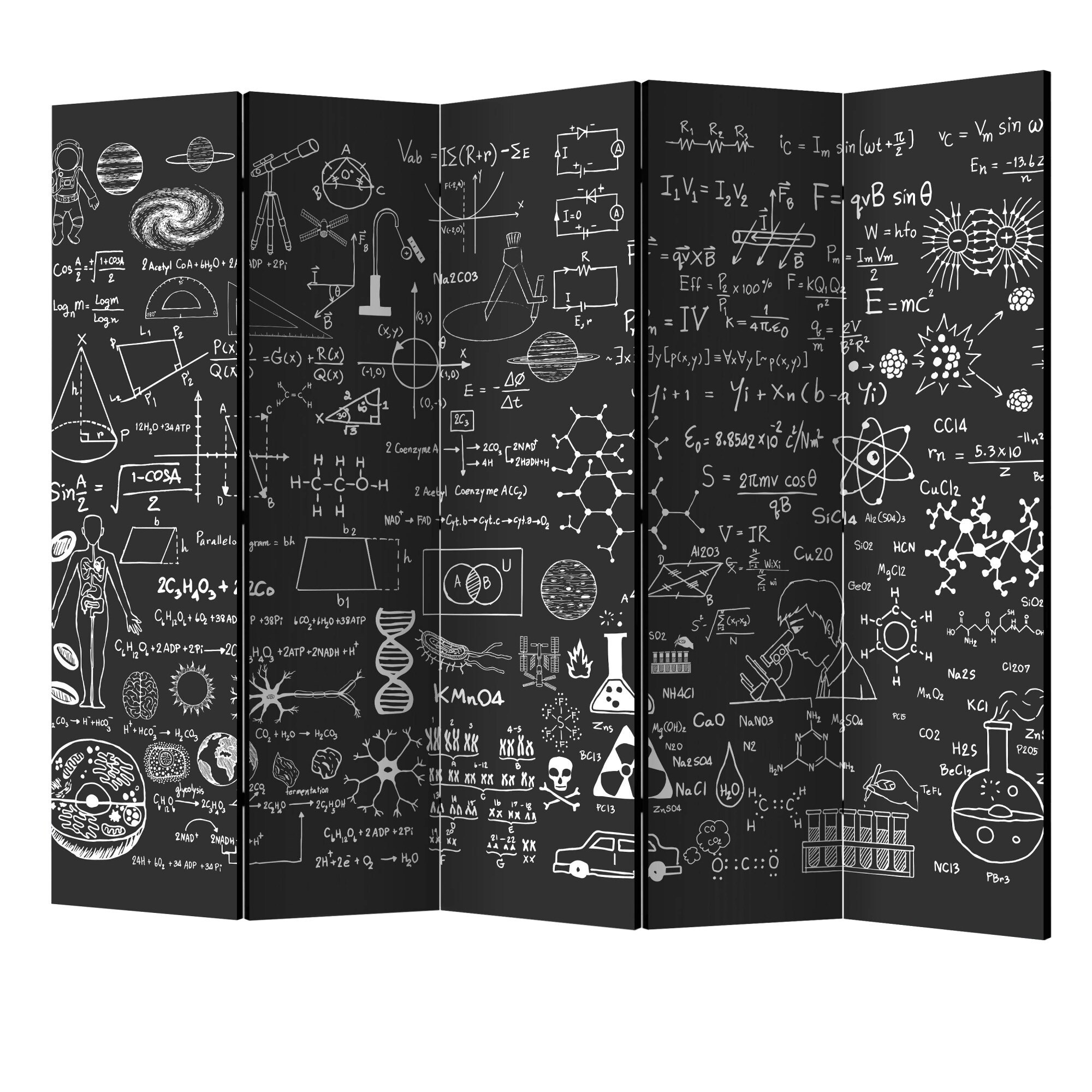 Paravan din 5 parti - Stiinta pe tabla II - 225 x 172 cm