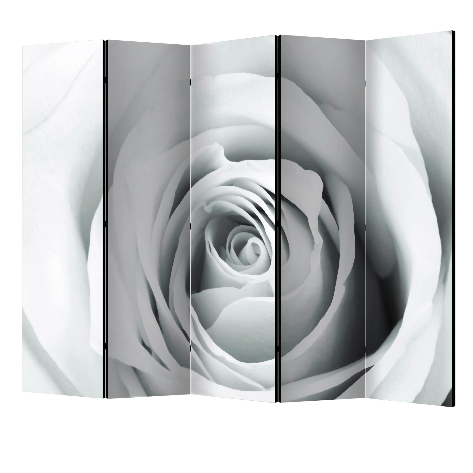 Paravan din 5 parti - Trandafirul II - 225 x 172 cm