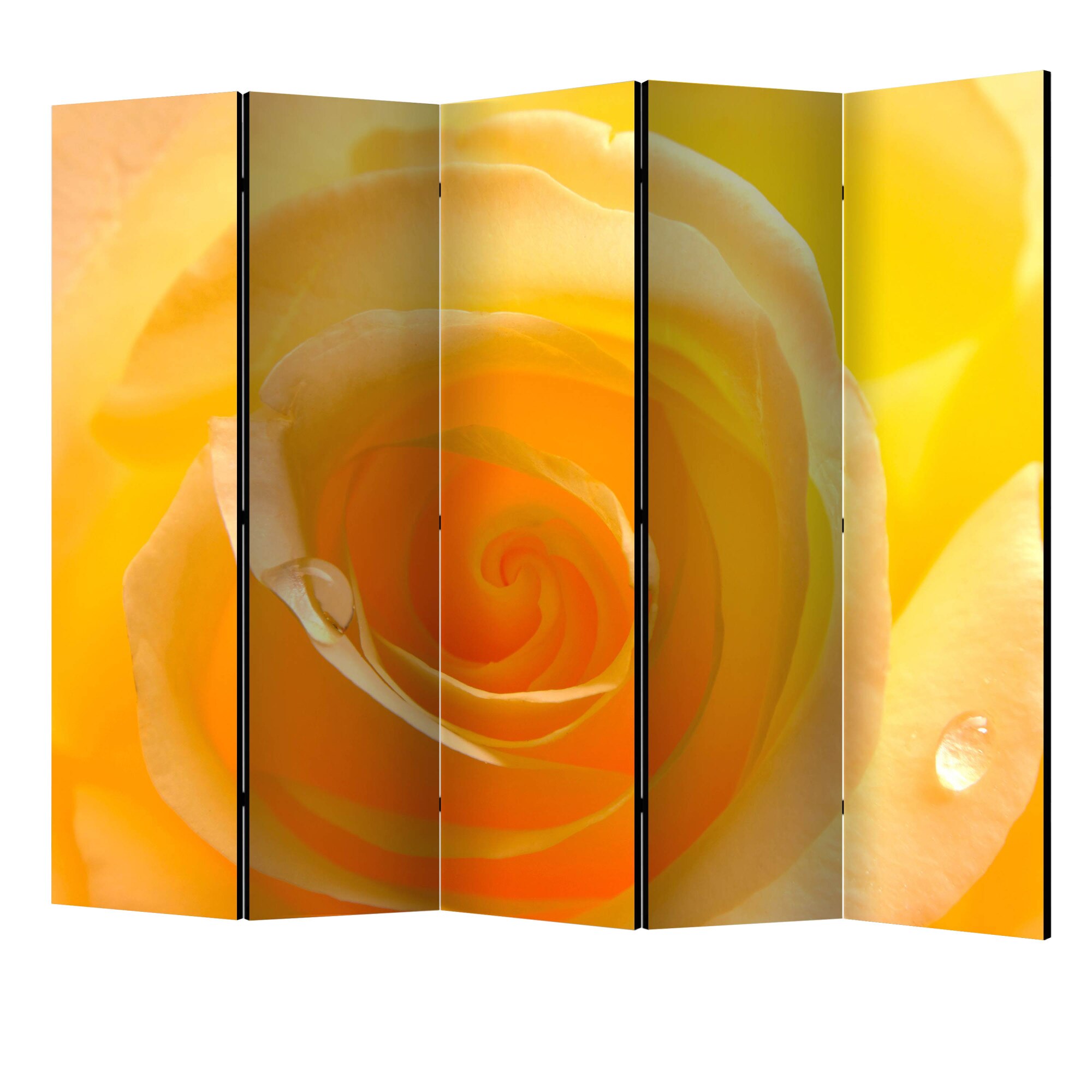 Paravan din 5 parti - Trandafir galben II - 225 x 172 cm