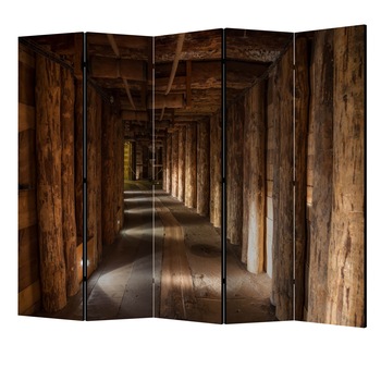 Paravan din 5 parti - Wieliczka II - 225 x 172 cm Paravan din 5 parti - Wieliczka II - 225 x 172 cm