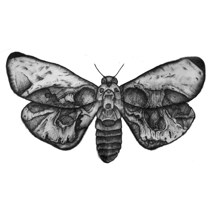 Tatuaj temporar- Moth, Posh Tattoos Romania