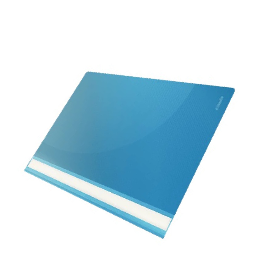 Set dosare de plastic Esselte Standard, Esselte, 25buc/set, albastru