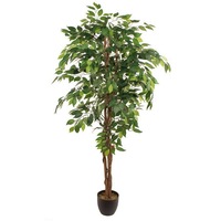 copac artificial ficus pe trunchi natural si ghiveci decorativ 180 cm imagen 13_0_
0