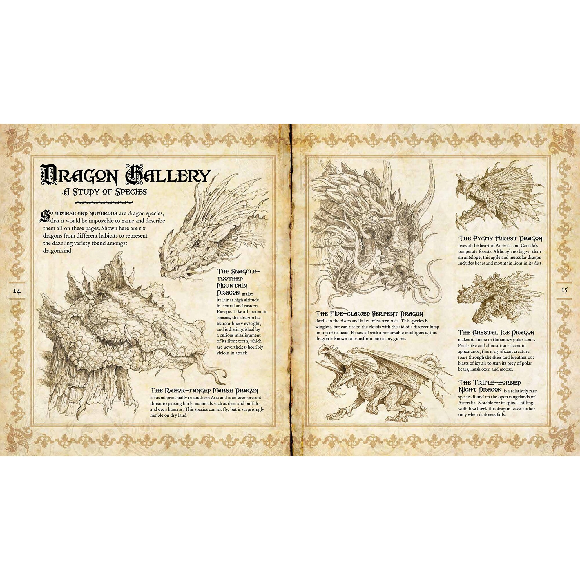 The Fantastical World of Beasts - Stella Caldwell