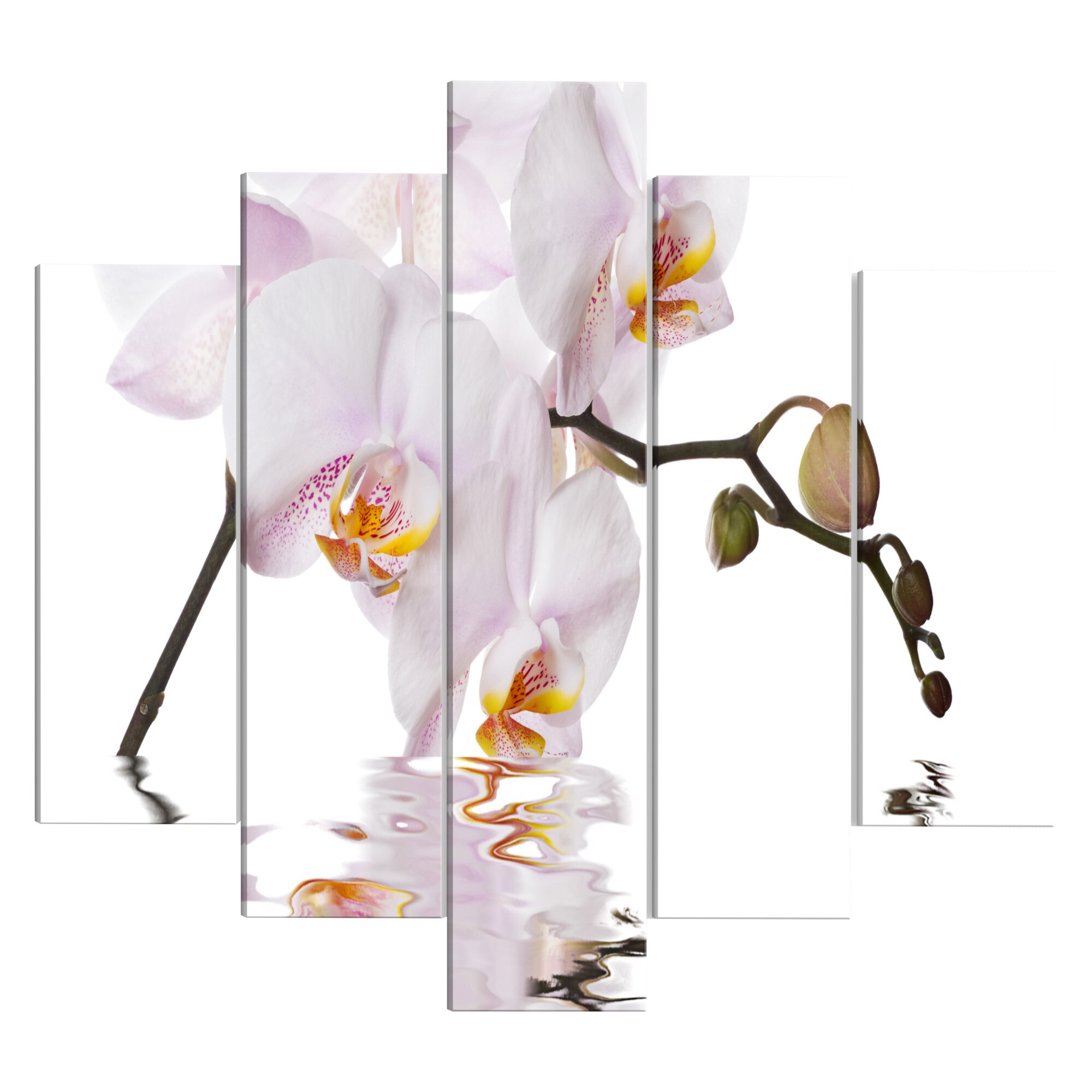 Tablou canvas 5 piese - Orhidee incantatoare larga - 100 x 50 cm