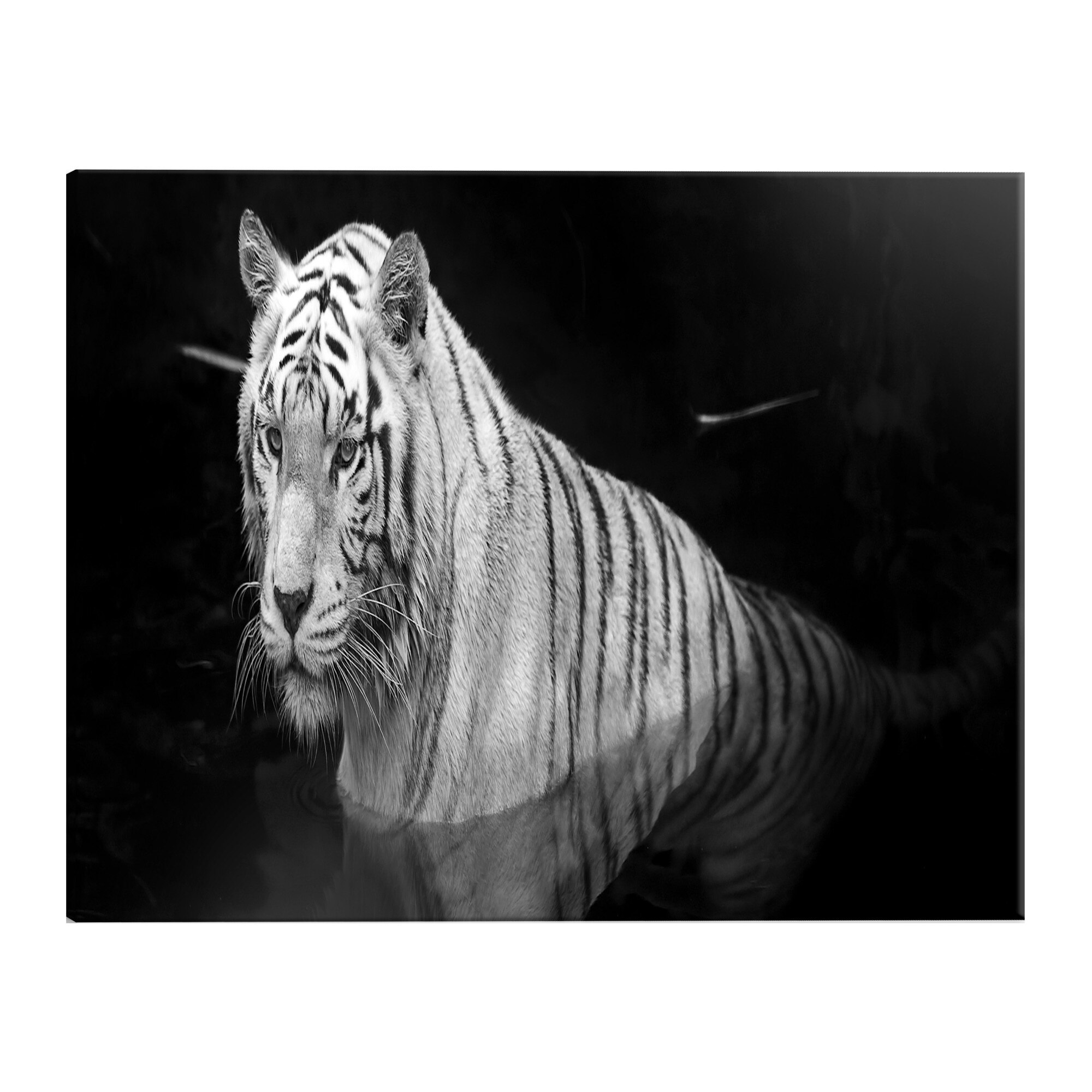 Tablou canvas - Tigru stralucitor alb-negru ingust - 135 x 45 cm