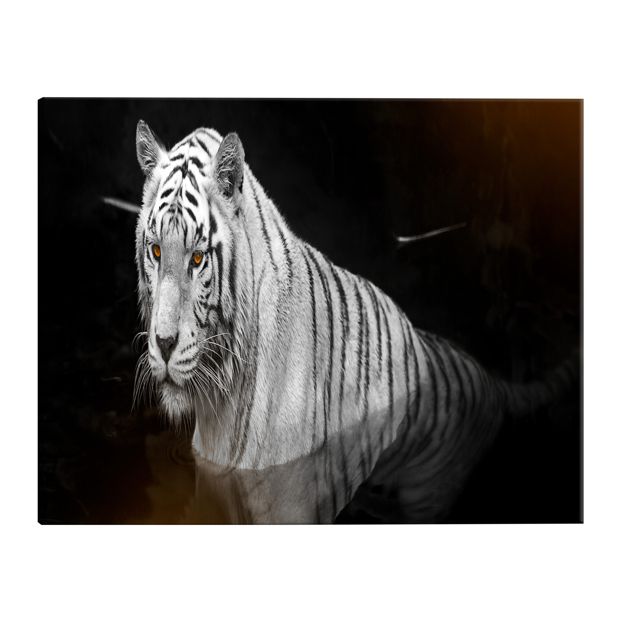 Tablou canvas - Tigru stralucitor portocaliu ingust - 150 x 50 cm