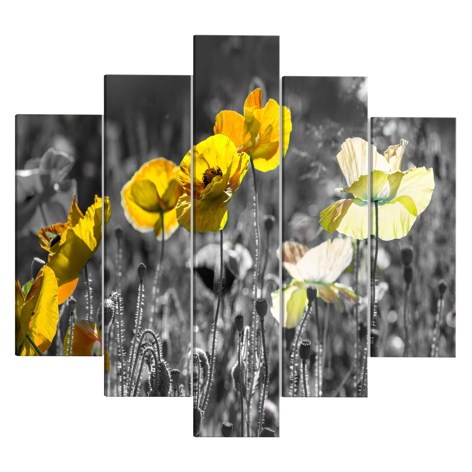 Tablou canvas 5 piese - Mape galbene larg - 100 x 50 cm