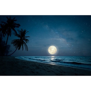 Tablou canvas Plaja40, 105 x 70 cm Tablou canvas Plaja40, 105 x 70 cm