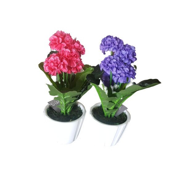 Set 2 Ghivece cu Dalii, Bizzotto, Mov si Roz, 10.5x10.5x24 cm