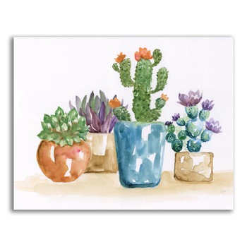 Tablou Canvas - Plante, Cactus, Vaze, Color, 24 x 30 cm Tablou Canvas - Plante, Cactus, Vaze, Color, 24 x 30 cm