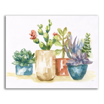 Tablou Canvas - Plante, Cactus, Vaze, Color, 80 x 100 cm Tablou Canvas - Plante, Cactus, Vaze, Color, 80 x 100 cm