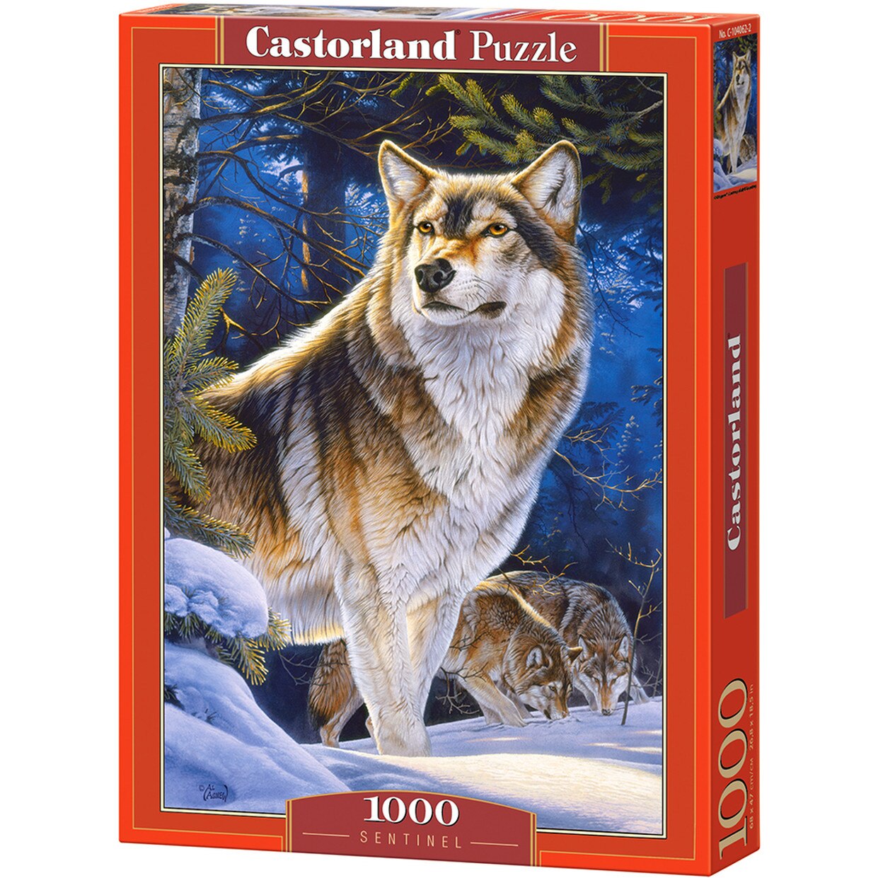 Puzzle Castorland Sentinel, 1000 piese