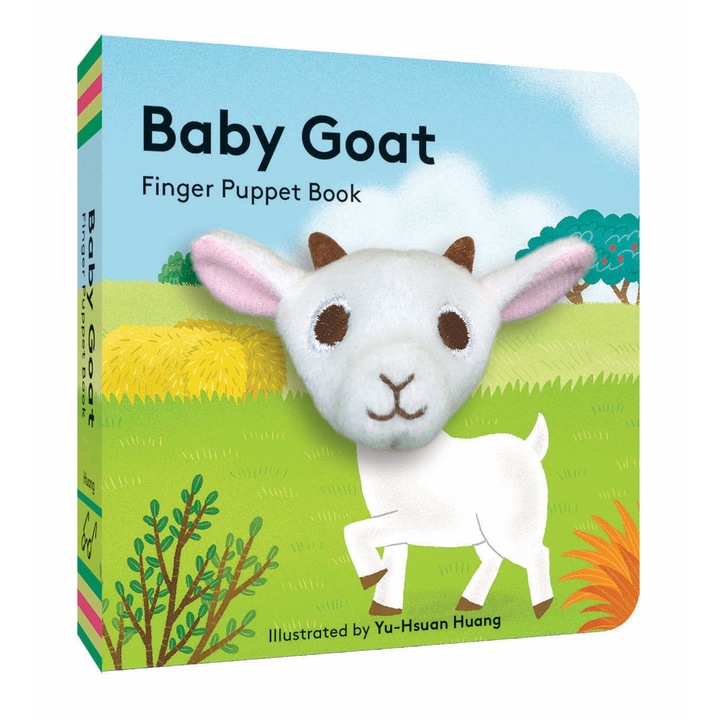 Baby Goat