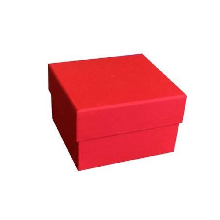 Cutie carton pentru depozitare 1 ceas rosie