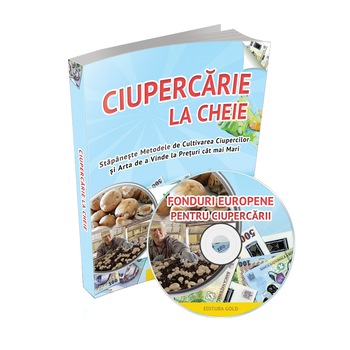 Ciupercarie la Cheie, Dezvolta Afacerea Ta cu Ciuperci - Tei Horatiu Ciupercarie la Cheie, Dezvolta Afacerea Ta cu Ciuperci - Tei Horatiu