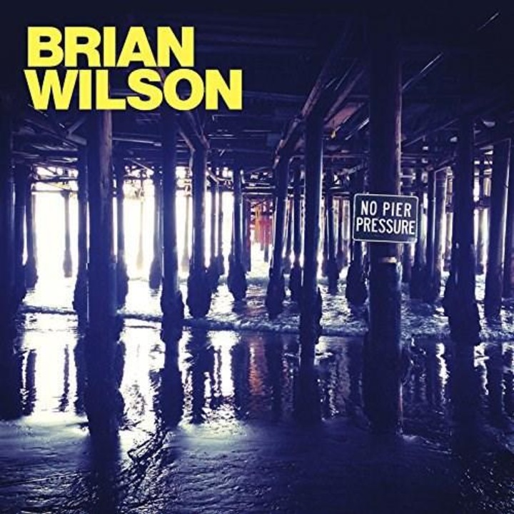 Brian Wilson - No Pier Pressure - CD