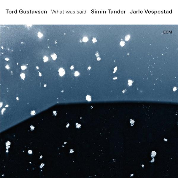 Tord GustavsenSimin TanderJarle Vespestad - What Was Said - Vinyl - Vinyl