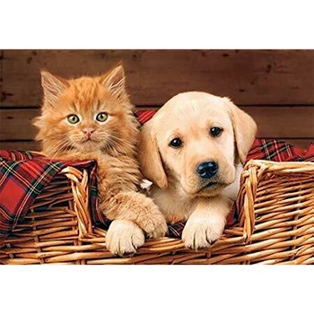 Puzzle Trefl + 3 ani Multicolor 500 piese Puzzle Trefl + 3 ani Multicolor 500 piese