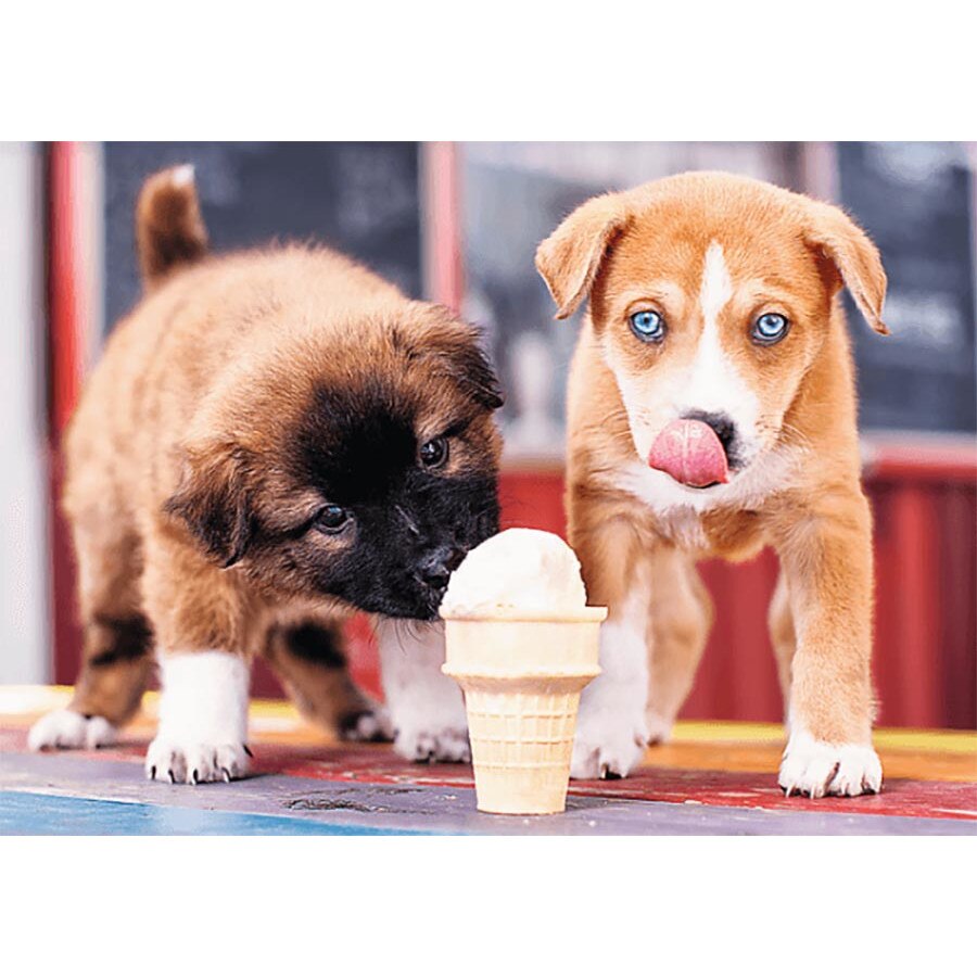 Puzzle Trefl + 3 ani Multicolor 500 piese