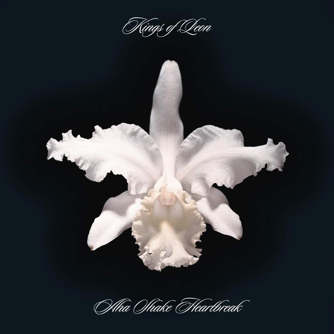 Kings Of Leon - A-Ha Shake Heartbreak - CD