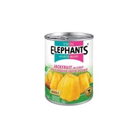 Compot de Jackfruit 565g - Twin Elephants