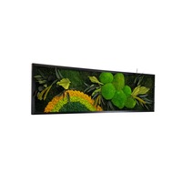 tablou licheni  muschi plati si bombati plante naturale stabilizate jolie arts dimensiune 40 x 130 model soare clasic rama neagra imagen 12_0_
0