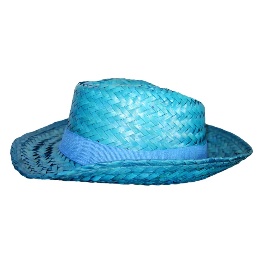 Palarie din paie pentru plaja/petrecere - marime universala, Amscan 257683