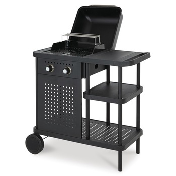 Gratar pe gaz BBQ, 2 arzatoare,57.6 x 101.3 x 107.8 cm Gratar pe gaz BBQ, 2 arzatoare,57.6 x 101.3 x 107.8 cm