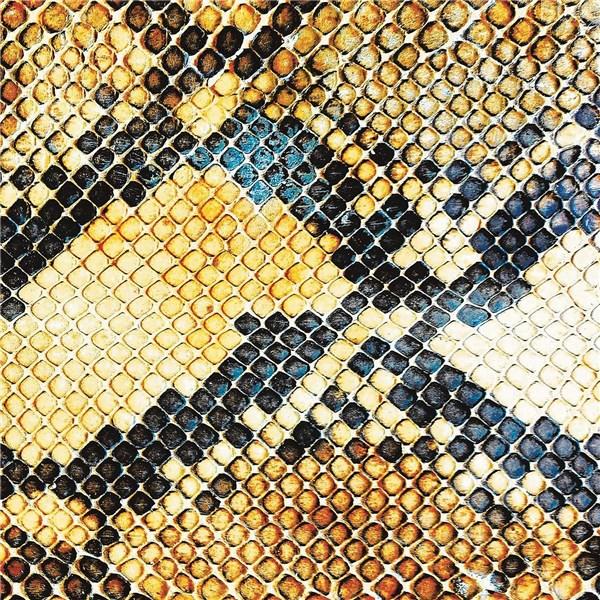 The Amazing Snakeheads - Amphetamine Ballads - CD