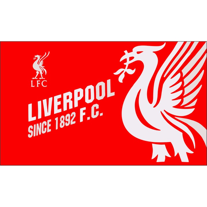 Steag Liverpool, TIDA-R0, Poliester, 90 x 150 cm