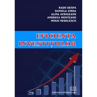 eficienta investitiilor - radu despa daniela zirra alina avrigeanu andreea-clara munteanu mihai nedelescu imagen 2_0_
0