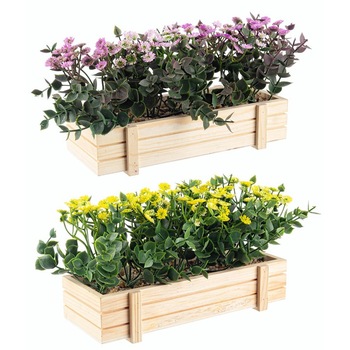 Set 2 flori in ghiveci Dianthus, Bizzotto, Mov si galben, 22.5x8.5x14 cm Set 2 flori in ghiveci Dianthus, Bizzotto, Mov si galben, 22.5x8.5x14 cm