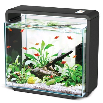 Acvariu Natur Biotop, Negru, 25L Acvariu Natur Biotop, Negru, 25L