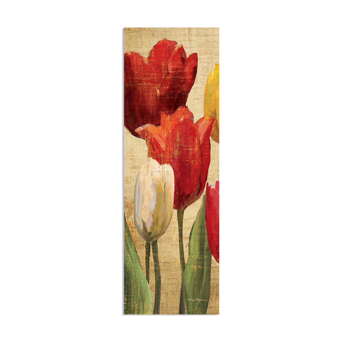 Tablou Canvas - Flori, Floare, Lalele, Primavara, 30 x 90 cm