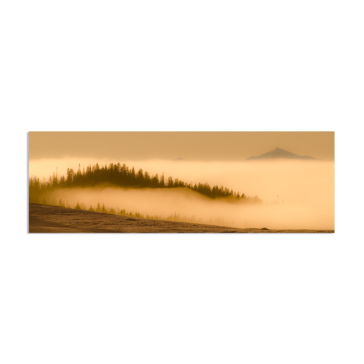 Tablou Canvas - Peisaj, Natura, Munte, Padure, Ceata, 30 x 90 cm
