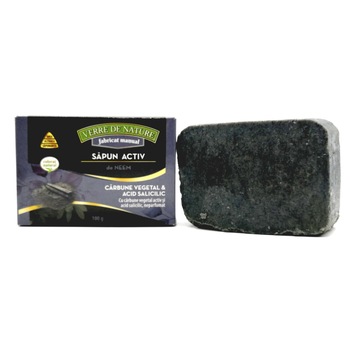 Sapun Activ de Neem cu carbune vegetal si acid salicilic 100 g Sapun Activ de Neem cu carbune vegetal si acid salicilic 100 g