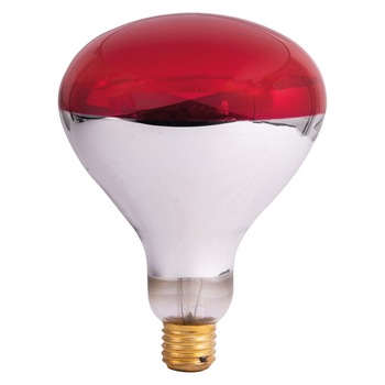 Bec infrarosu R125 250W E27 rosu Bec infrarosu R125 250W E27 rosu